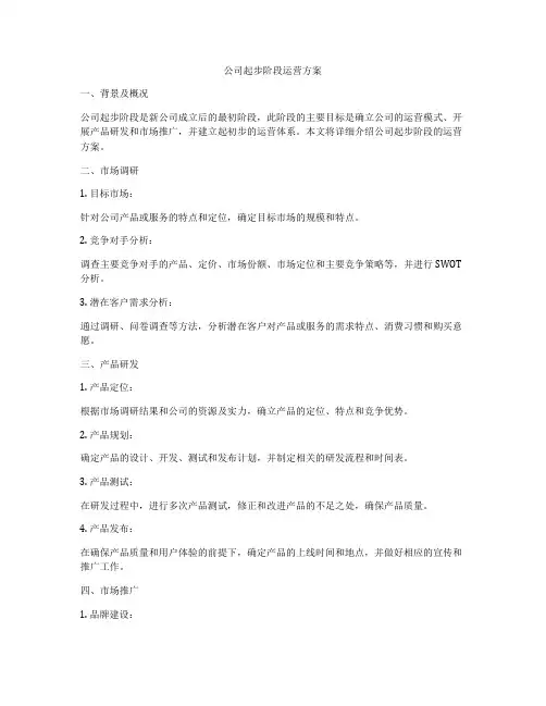 公司起步阶段运营方案