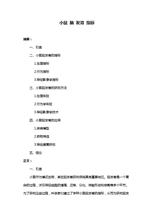 小鼠 脑 发育 指标