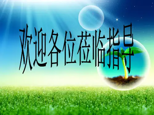 促销组合策略PPT课件