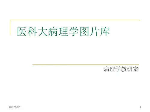 史上最全的病理学切片图片库