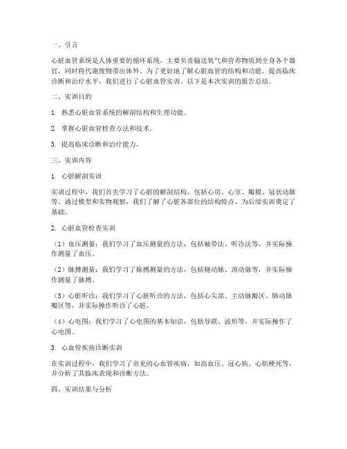 心脏血管实训报告
