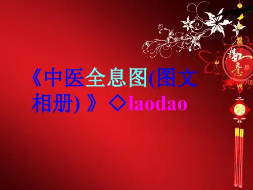 《中医全息图(图文相册)》