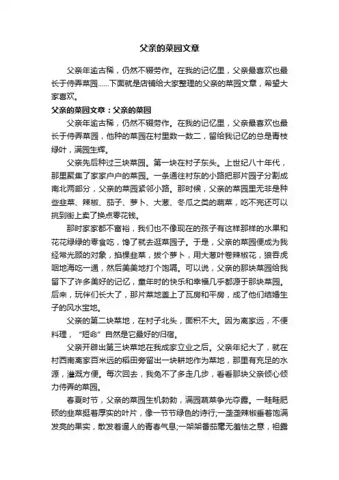 父亲的菜园文章