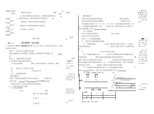31一对相对性状的杂交实验过程