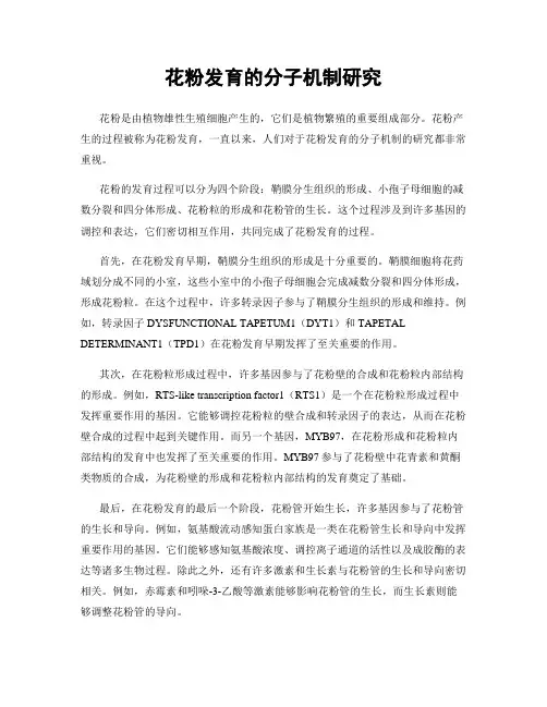 花粉发育的分子机制研究