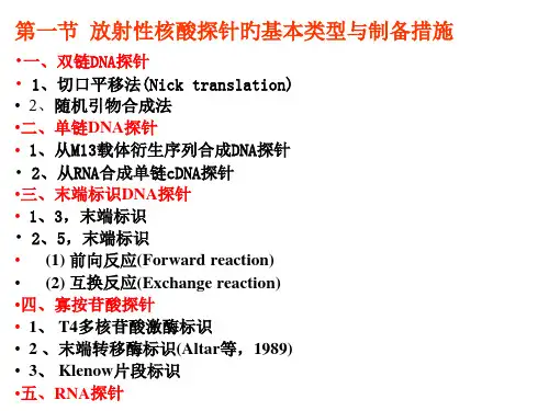 放射性核酸探针的制备及应用