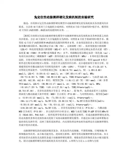 兔定位性动脉粥样硬化发病机制的实验研究
