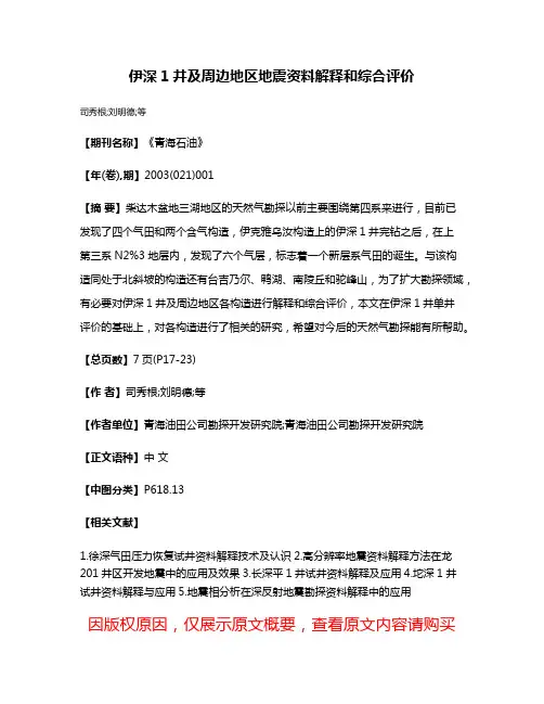 伊深1井及周边地区地震资料解释和综合评价