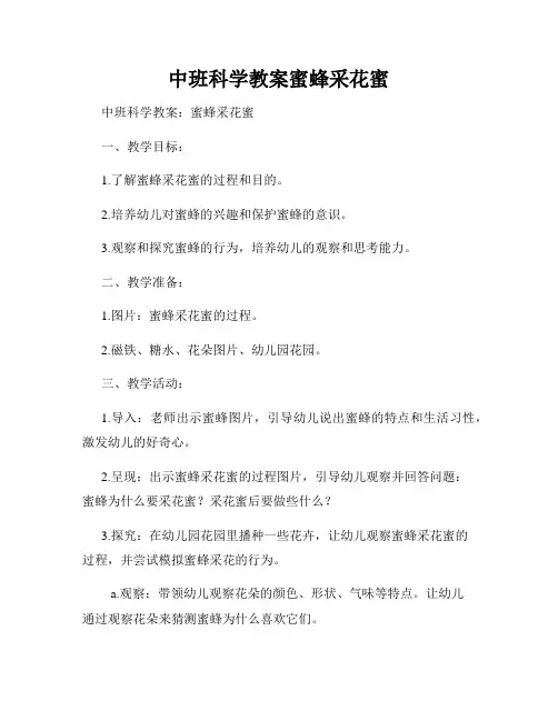 中班科学教案蜜蜂采花蜜
