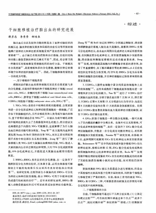 干细胞移植治疗脑出血的研究进展