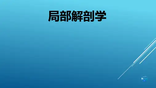局部解剖学-绪论