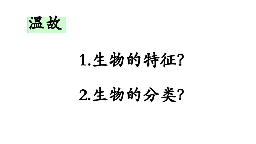 第一节生物与环境的关系课件人教版生物七年级上册
