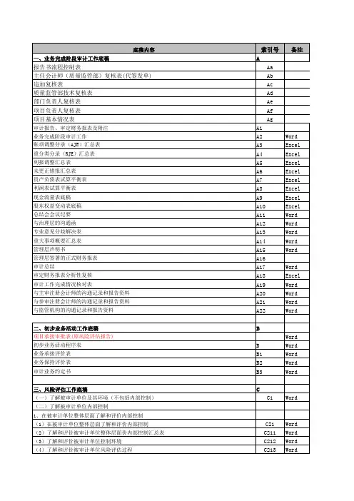 具体审计计划工作底稿索引号