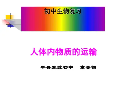 人体内物质的运输 PPT课件 人教版