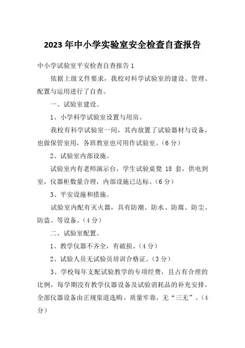 2023年中小学实验室安全检查自查报告
