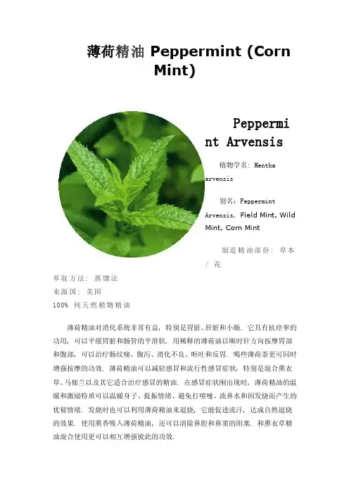 薄荷精油Peppermint