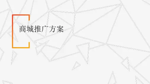 某商城推广方案(共33张PPT)