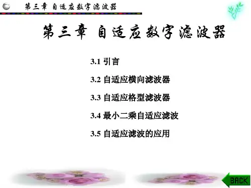 自适应滤波器PPT课件
