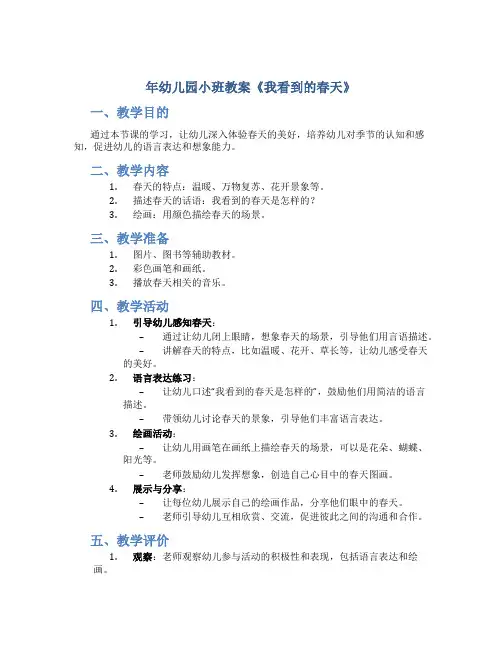 年幼儿园小班教案《我看到的春天》