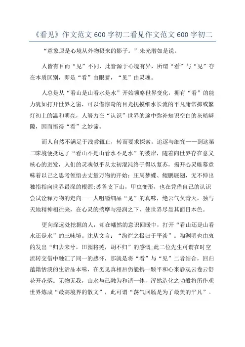《看见》作文范文600字初二看见作文范文600字初二