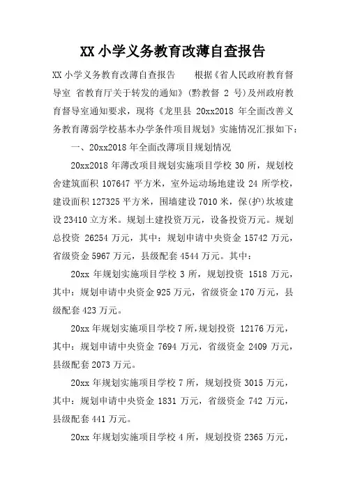 小学义务教育改薄自查报告