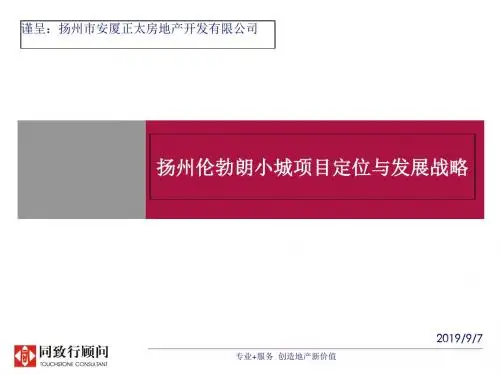扬州某小城项目定位与发展战略(ppt 156页)