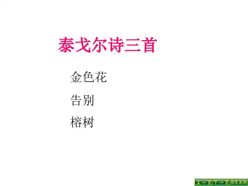 苏教版初中七年级上册语文泰戈尔诗三首_课件1