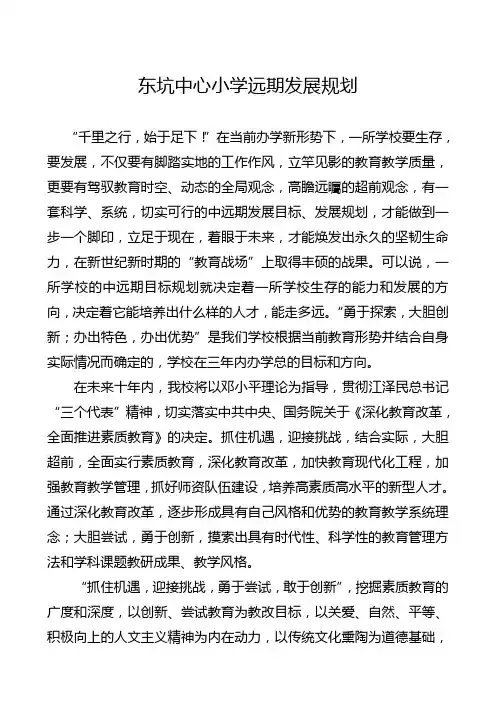 远期发展规划