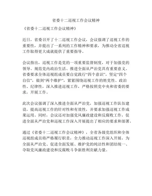 省委十二巡视工作会议精神