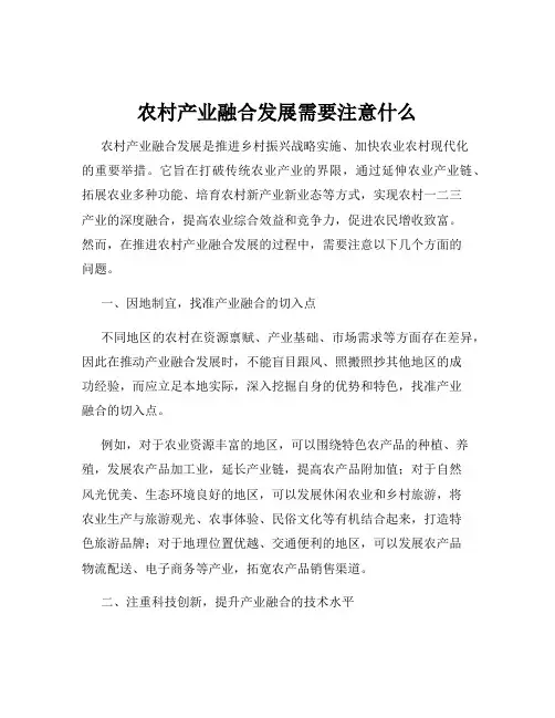 农村产业融合发展需要注意什么