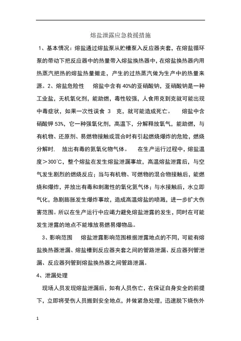 熔盐危险分析(1)