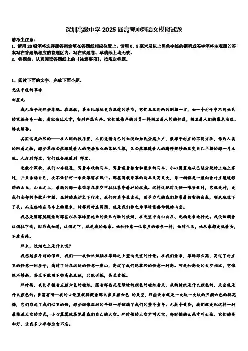 深圳高级中学2025届高考冲刺语文模拟试题含解析