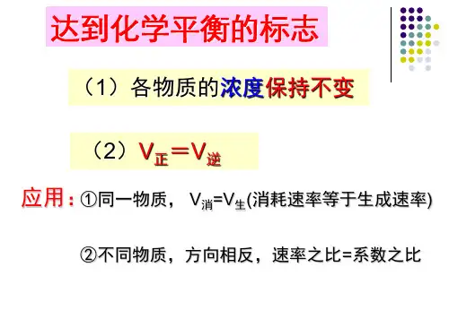 化学反应的速率和限度1