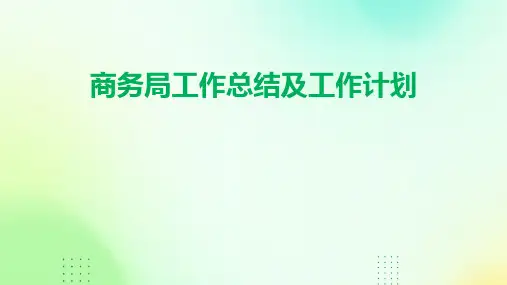 商务局工作总结及工作计划PPT