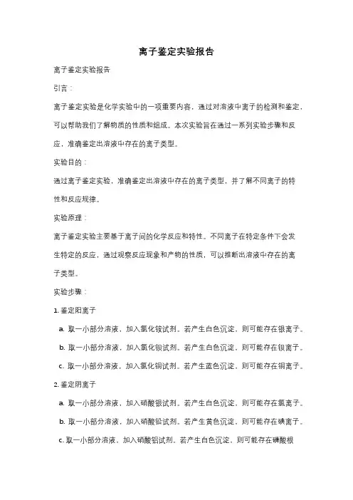 离子鉴定实验报告