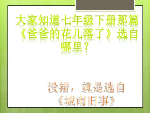 《城南旧事》读书交流会.pptx