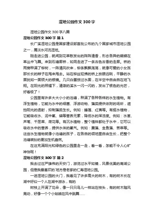 湿地公园作文300字八篇