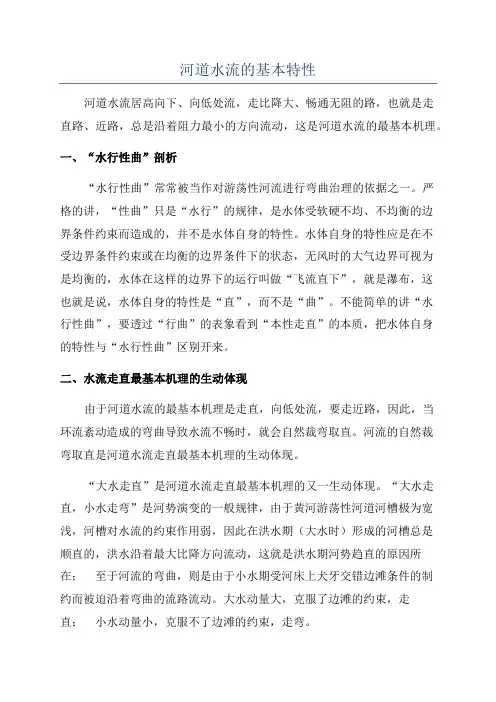 河道水流的基本特性