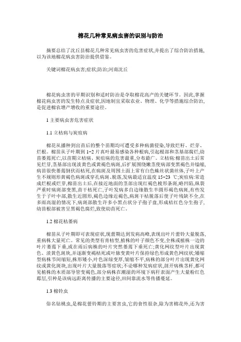 棉花几种常见病虫害的识别与防治