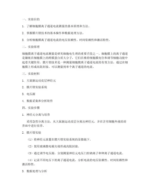 细胞电流测量实验报告