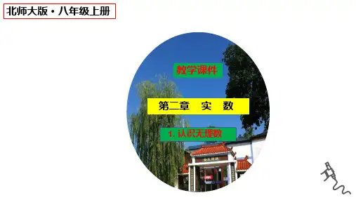北师大版数学八年级上册《认识无理数》教学课件