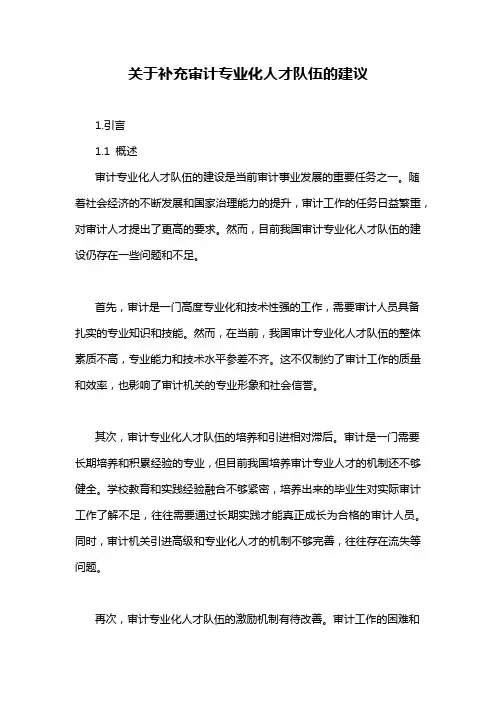 关于补充审计专业化人才队伍的建议