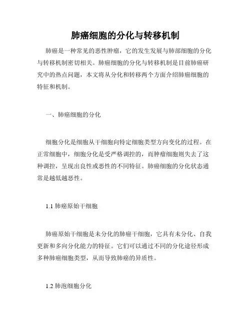 肺癌细胞的分化与转移机制