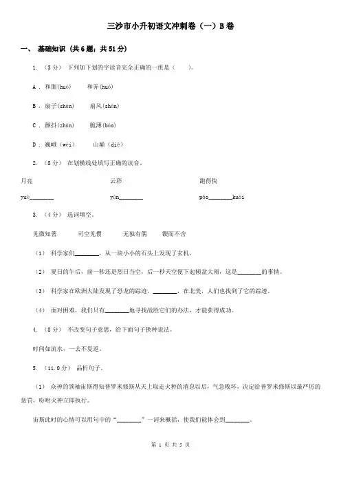 三沙市小升初语文冲刺卷(一)B卷