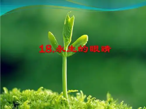 人教版小学四年级下册语文18.永生的眼睛
