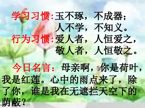 怀念母亲精品PPT课件