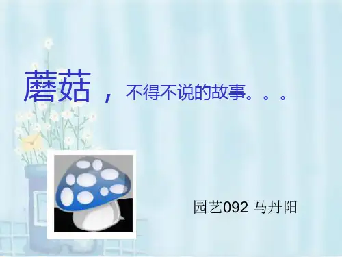 蘑菇     ppt