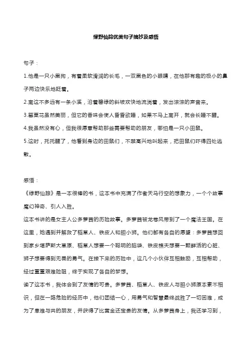 绿野仙踪优美句子摘抄及感悟