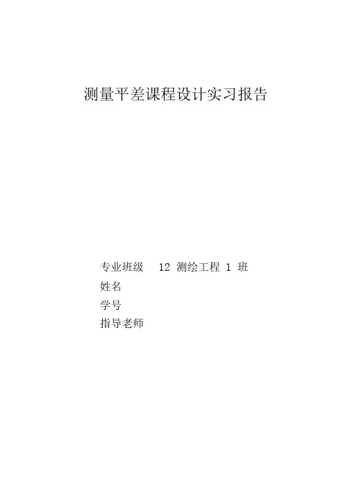 测量平差实习报告