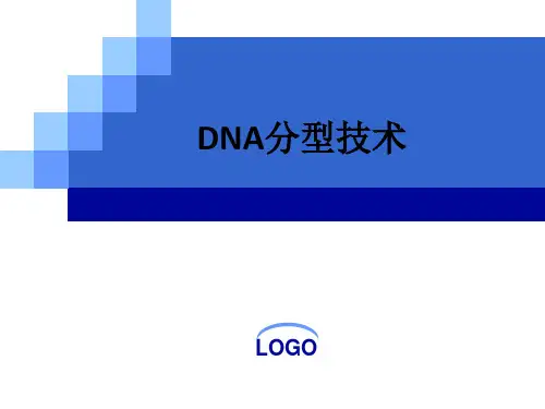 DNA分型技术ppt课件